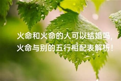 女火男土|探讨女火男土的婚姻配对：性格互补与事业顺利的关系